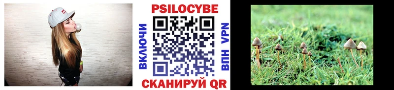 Галлюциногенные грибы Magic Shrooms  нарко площадка какой сайт  Десногорск 